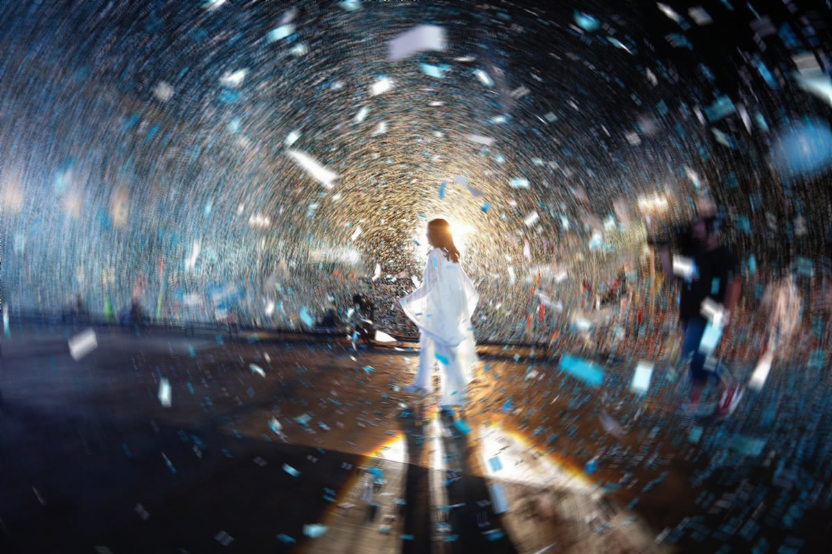 ¿Hacia una democracia desfigurada? ¿Hacia una democracia desfigurada?