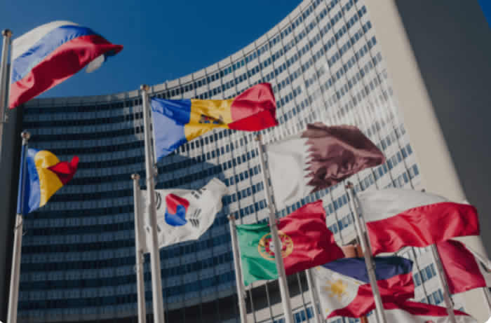 La propaganda autoritaria desprestigia a la ONU